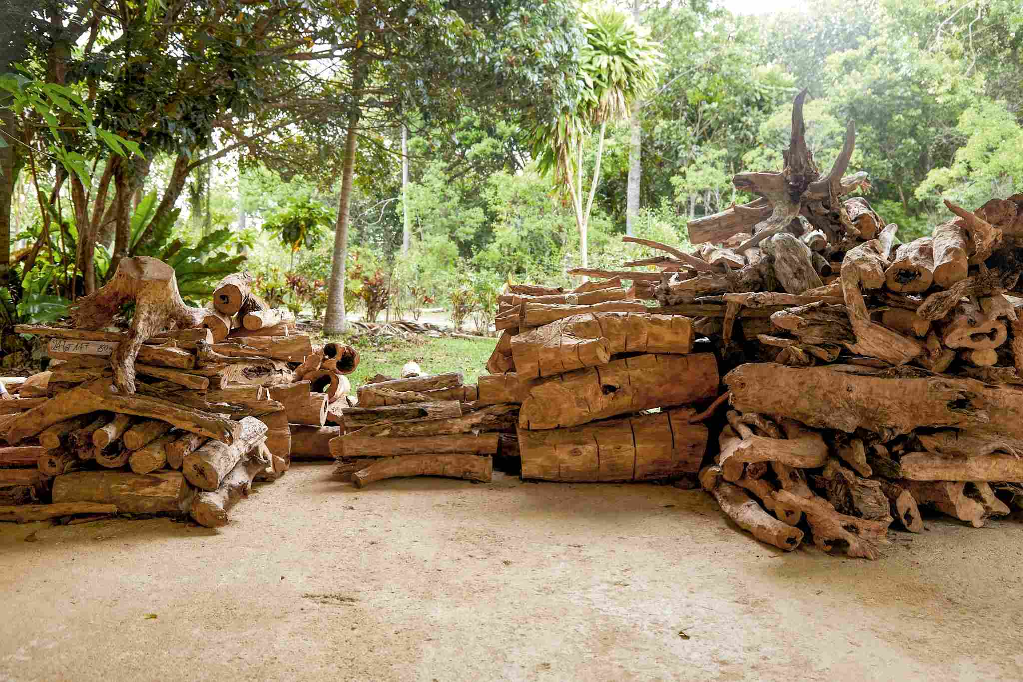 Bleu de Chanel L’Exclusif – parfem koji pomjera granice