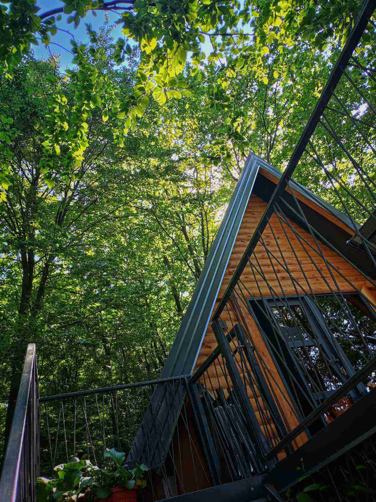 Silent Woods – mjesto za pravo jesenje uživanje