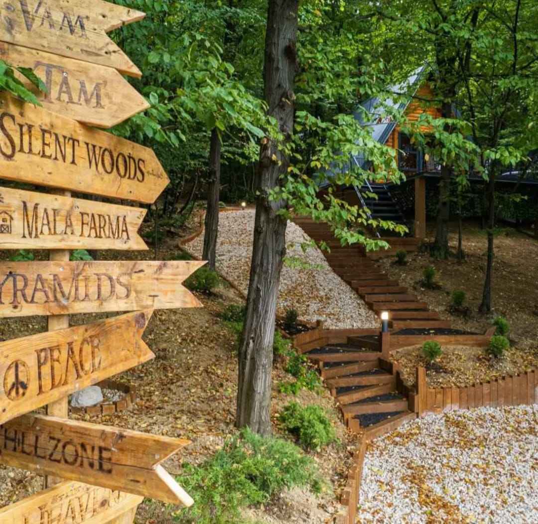 Silent Woods – mjesto za pravo jesenje uživanje