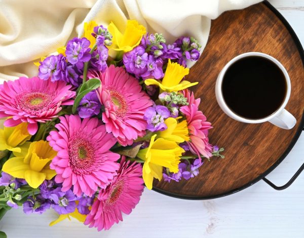 Dnevni horoskop za 29. novembar 2025: Tiha snaga kasne jeseni