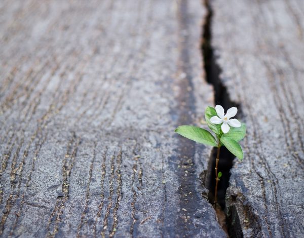 Dnevni horoskop za 8. novembar 2025: Intuicija, emocije i mala čuda svakodnevnice